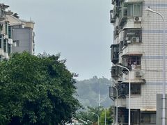 -鸿山公园