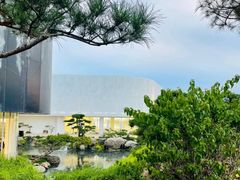 -罗红摄影艺术馆