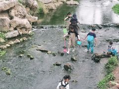 -羊山湖公园