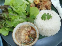 炒猪肉配饭-Fern Forest Cafe