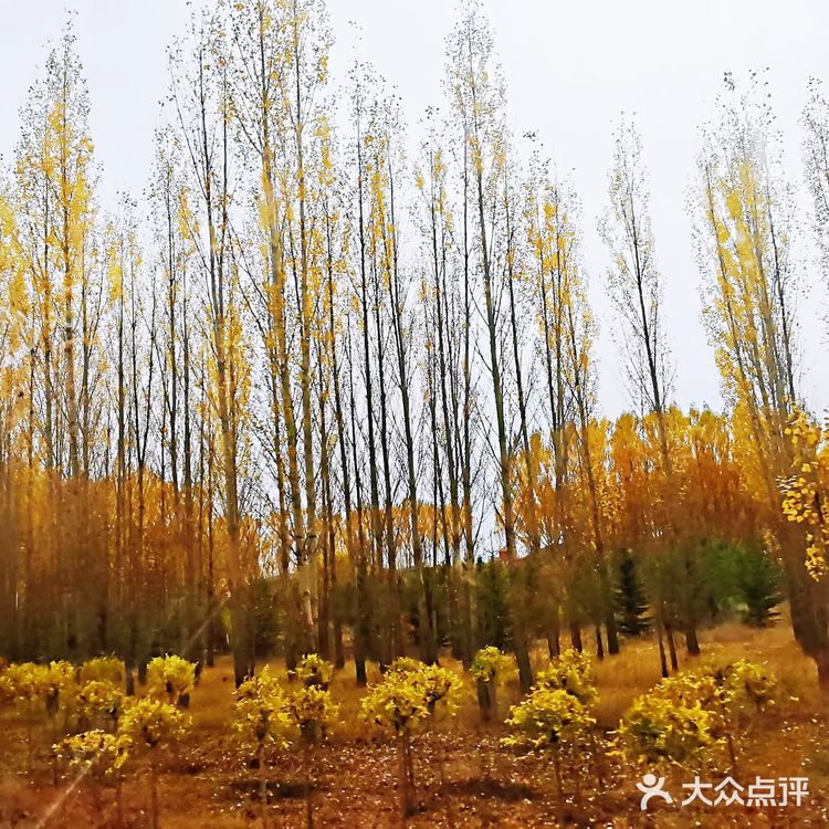 多伦湖～旅行的意义不是终点而是在路上