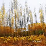 多伦湖~旅行的意义不是终点而是在路上