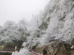 -老君山风景名胜区