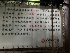 -张家港金凤凰度假村温泉