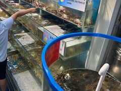 -仙螺岛海鲜自助餐厅(总店)
