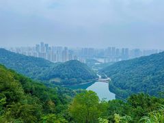 -桃花岭景区