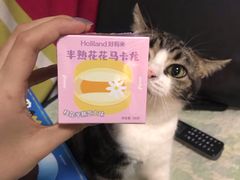 -好利来(东直门银座店)