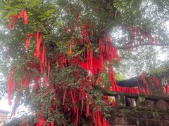 -尧坝古镇