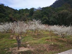 -广州市石门国家森林公园