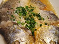 黄花鱼蒸肉饼-渔意楼·驰名沙田乳鸽(五羊店)