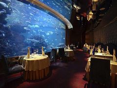 -迪拜帆船酒店海底餐厅