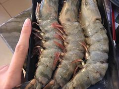 -熊出没日本烧肉放题