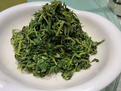养生枸杞苗-老毛手抓·盐池滩羊非遗手抓(宁夏总店)