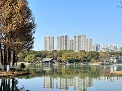 -新洲生态园