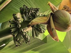 -浙江大学(之江校区)