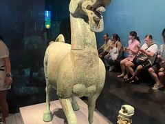 -广西壮族自治区博物馆