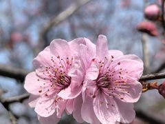 -白塘生态植物园