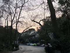 -龙井壹号·茶缘山景宴(龙井村店)