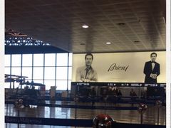 -米兰马尔彭萨国际机场