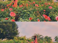 -人民公园(罗湖区)