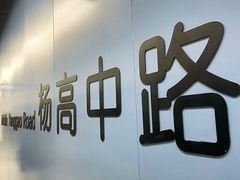 -杨高南路(地铁站)