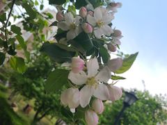 -长春市南湖公园