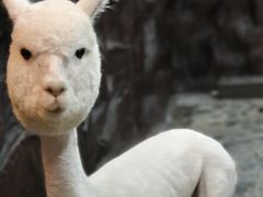 -上海大自然野生昆虫馆(东方明珠·爬宠昆虫探索中心)