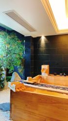 -缦spa