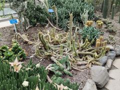 -南山植物园