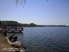 -丁香湖公园
