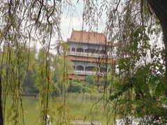-禹州森林植物园