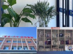 -派美特宠物医院·核磁CT·骨科肿瘤·疑难转诊(沈农禾丰店)