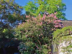 -惠山古镇·寄畅园