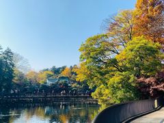 -井之头恩赐公园