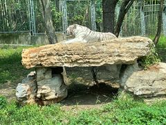 -上海野生动物园