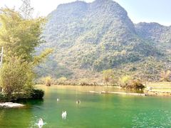 -靖西鹅泉风景区