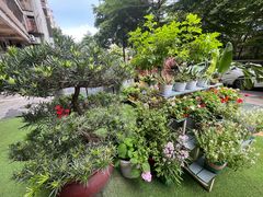 -山水茶艺馆·点心粤菜·30年老字号