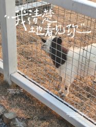 -太湖雪蚕桑文化园