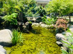 -绿色菜园·农家土菜(贤山店)