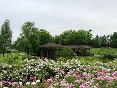 -尚贤河湿地