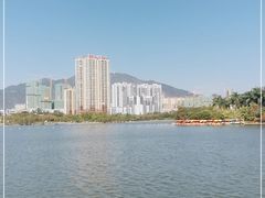 -飞来湖湿地公园