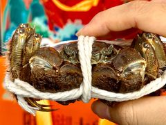 -阳澄湖大闸蟹·琼灵阁牌品牌连锁(吴中总店)
