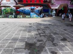 -深圳野生动物园