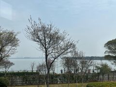 -品鲜村农家菜·阳澄湖大闸蟹(总店)