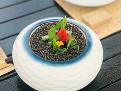 -素心小筑(后沙裕镇店)