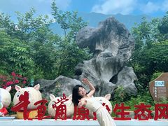 -牛鱼嘴原始生态风景区