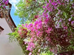 -深圳国际园林花卉博览园