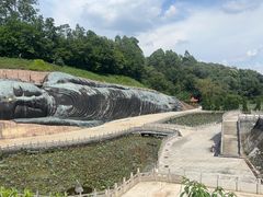 -三水森林公园