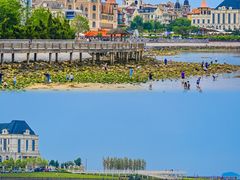 -烟台海昌鲸鲨海洋公园