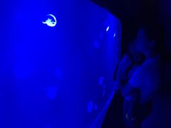 -暹罗海洋世界